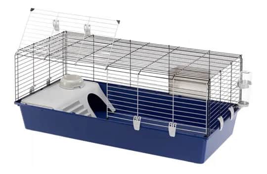 Jak zrobić bezpieczną i wygodną klatkę dla świnki morskiej krok po kroku