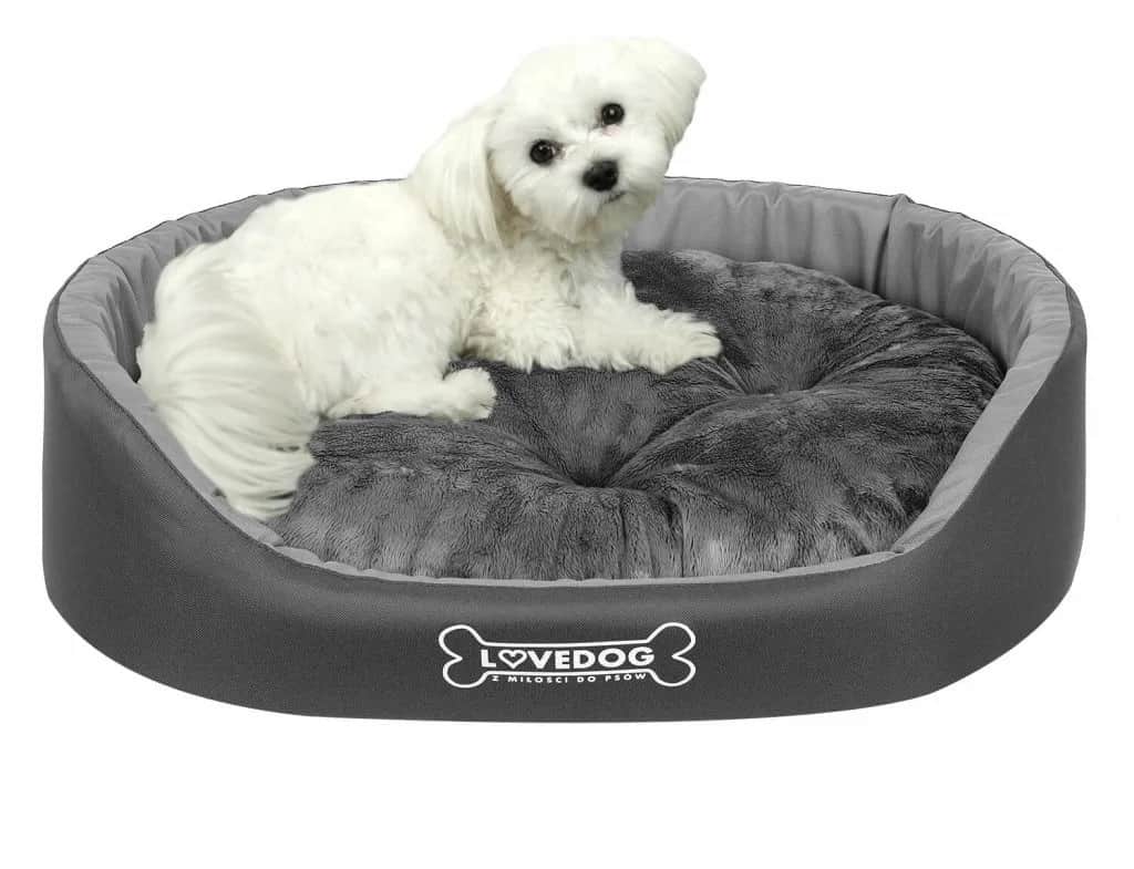 Najlepsze legowiska dla psa, które można prać - łatwe w pielęgnacji