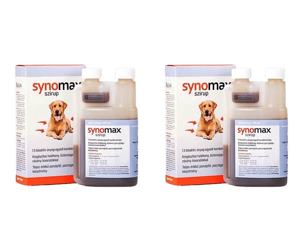 Jaki syrop na kaszel dla psa? Bezpieczne opcje i ostrzeżenia