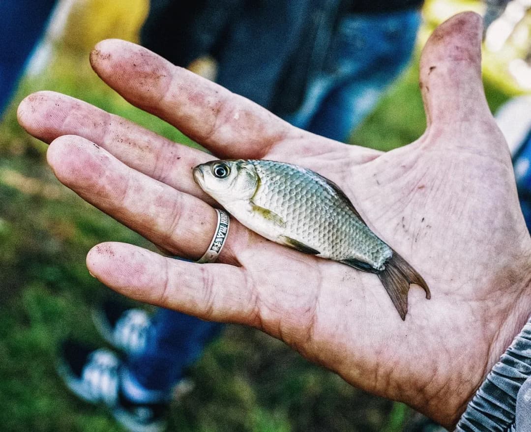 Jak zimują ryby? Odkryj tajemnice ich przetrwania w zimie