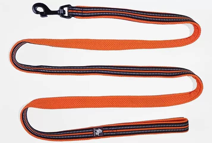 Jak wybrać idealną smycz dla psa, aby uniknąć problemów z kontrolą