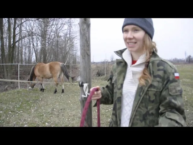 Jak bezpiecznie przywiązać konia – unikaj błędów i zapewnij mu komfort