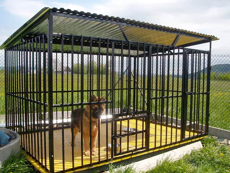 Czym wyłożyć kojec dla psa? Najlepsze materiały dla komfortu i bezpieczeństwa twojego pupila