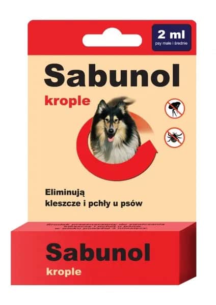 Skuteczne sposoby na pchły u psa – jak chronić pupila przed infestacją