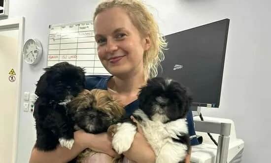 Ile zarabia weterynarz w Anglii? Porównanie z Polską i koszty życia