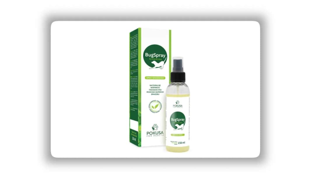 Najlepsze sposoby na pchły dla psa – skuteczne preparaty i porady