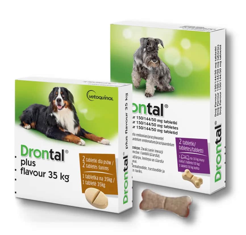 Ile kosztują tabletki na odrobaczanie psa? Sprawdź ceny i porady