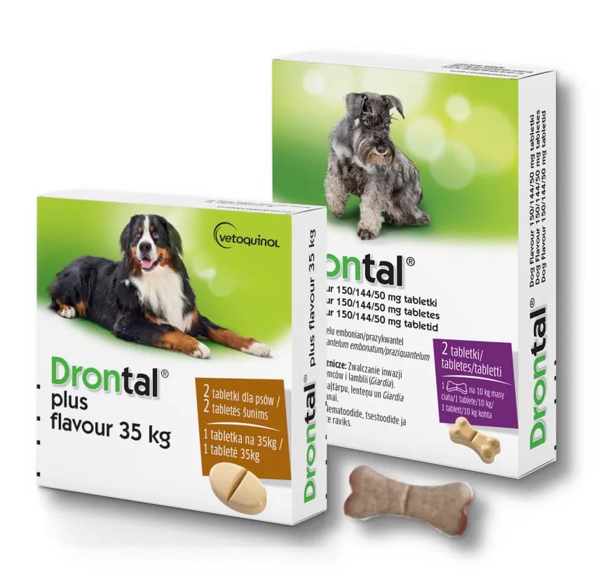 Ile kosztują tabletki na odrobaczanie psa? Sprawdź ceny i porady