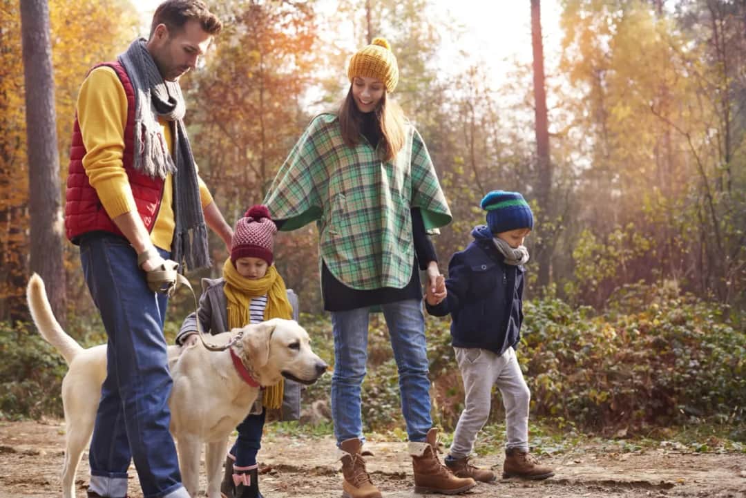 Co daje spacer z psem? Odkryj korzyści dla zdrowia i samopoczucia