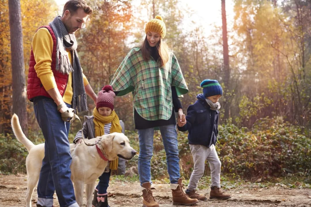Co daje spacer z psem? Odkryj korzyści dla zdrowia i samopoczucia