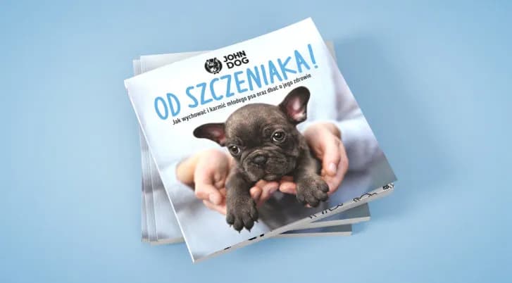 Odrobaczanie psa: Jak często? Kalendarz i objawy - poradnik