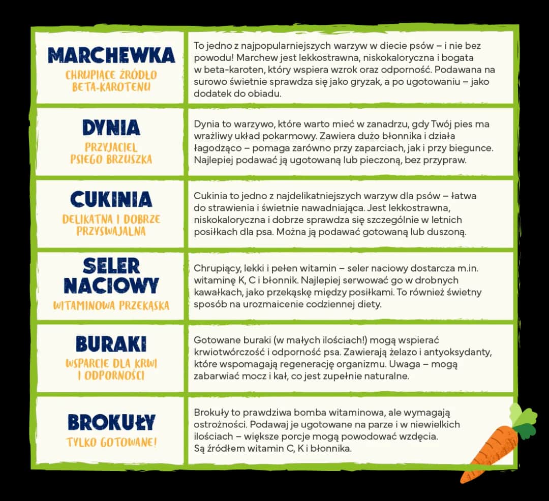 Jakie owoce dla psa są bezpieczne i zdrowe? Unikaj tych trujących!