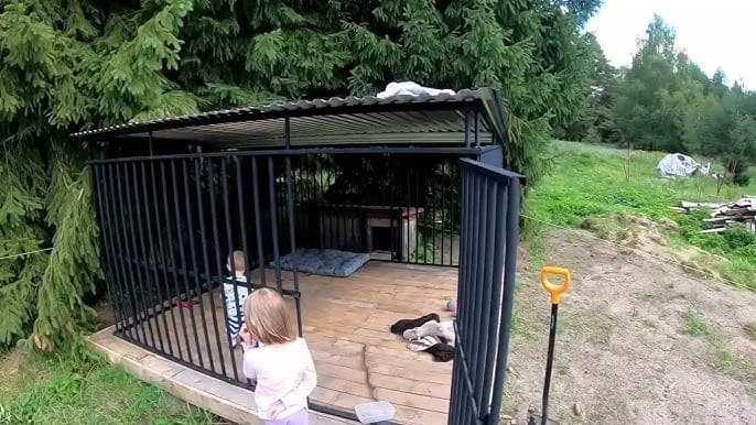 Jak tanio zrobić kojec dla psa z materiałów recyklingowych i oszczędzić Jak tanio zrobić kojec dla psa z materiałów recyklingowych i oszczędzić