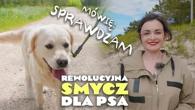 Jak wybrać smycz dla psa, który ciągnie, by uniknąć frustracji?