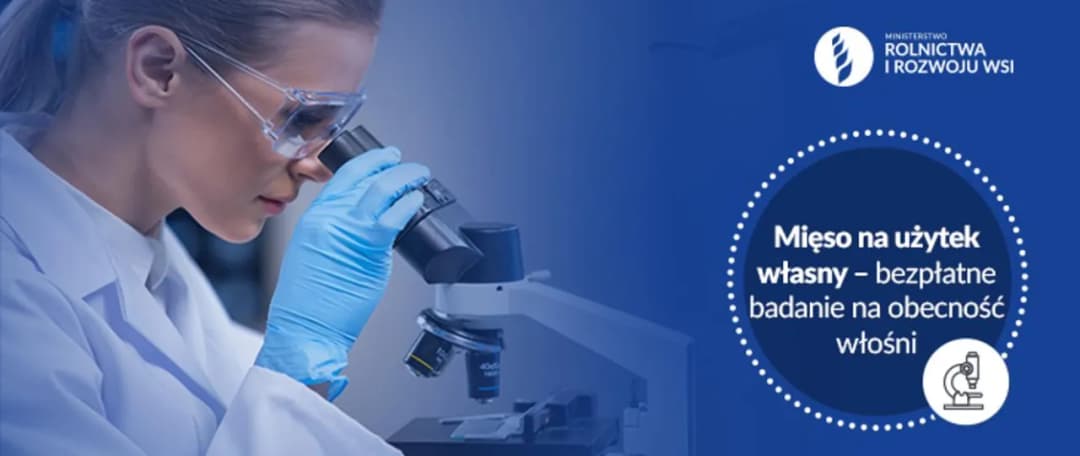 Ile kosztuje badanie mięsa u weterynarza? Sprawdź, zanim zapłacisz