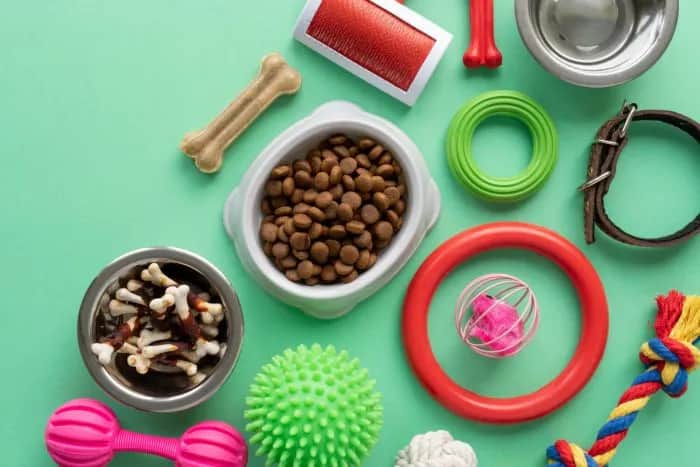 Wyprawka dla psa co kupić: 10 niezbędnych akcesoriów, które musisz mieć