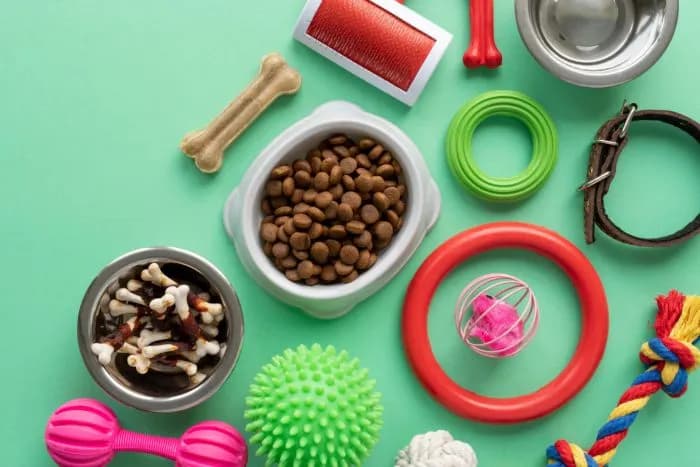 Wyprawka dla psa co kupić: 10 niezbędnych akcesoriów, które musisz mieć
